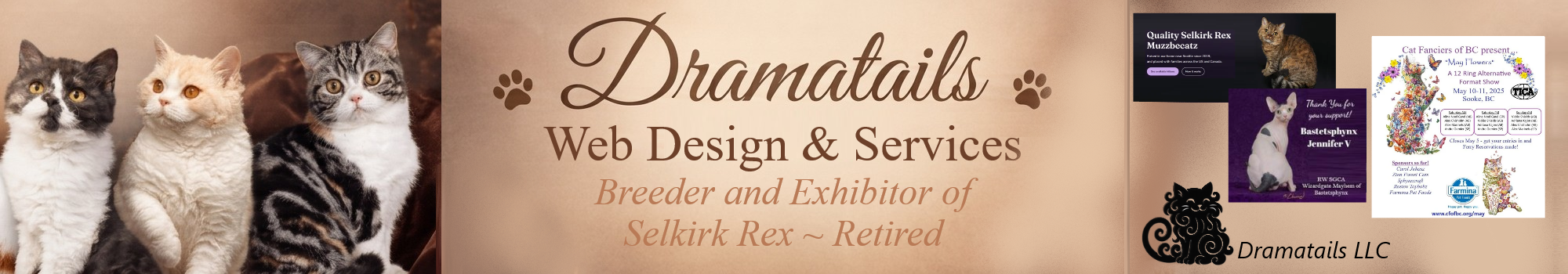 Dramatails Web Design & Services
